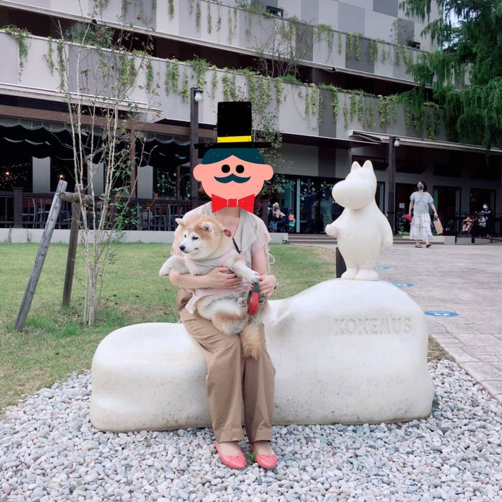 D8ebc988 33b1 4fcc 8d6b a91a8ebc6981 1598497307592