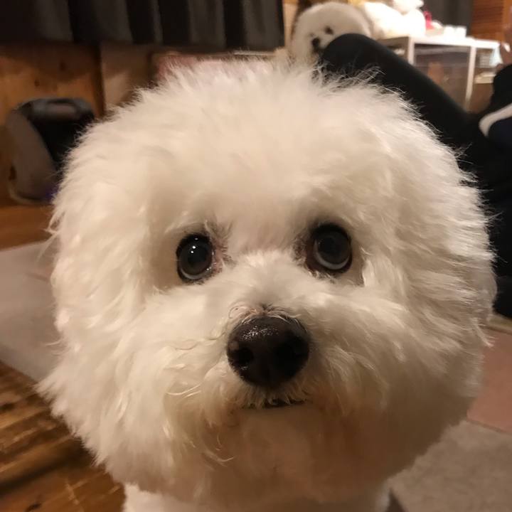 D8ebf44b 7343 4660 9fb5 5075acf1b536 1577798740384