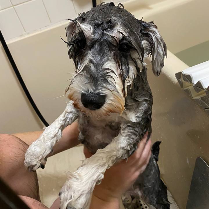 D8ebfe0a 2146 41f7 bf36 5542375d037f 1575387645177