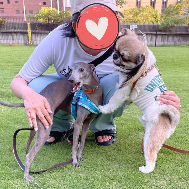 D8ec57e1 19d7 4e30 9a55 b8dbbfb08104 1759923478691