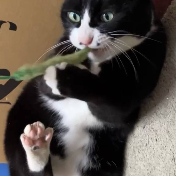 D8ec88c8 74d8 41b4 a417 289b281020d8 1741227039332