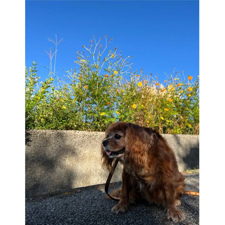 D8ecb351 1207 4f05 a4f0 860afcae41a0 1760056917305