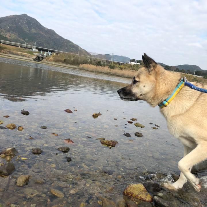 D8ecb3d1 6ddd 46f0 8446 4a8c9ceb64b3 1575801036349