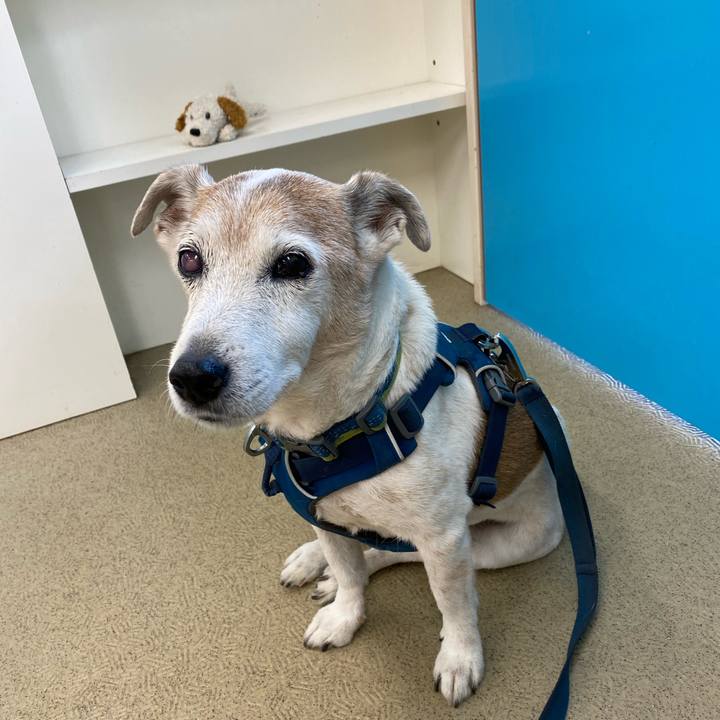 D8ece5eb bcb4 4d26 8189 ac34dcd9440c 1668828903608