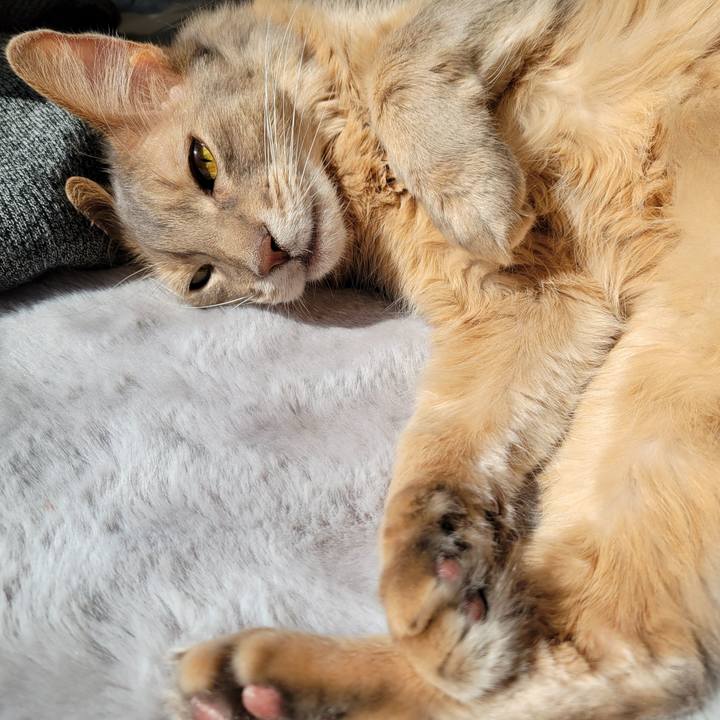 D8ecec5f b3d1 4ed5 95ff 76b35920d6ed 1646466064104