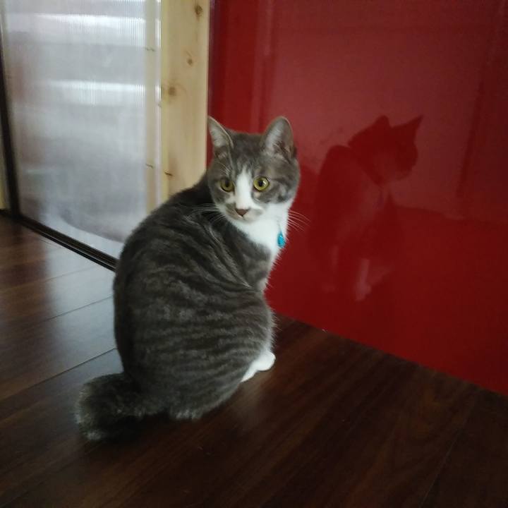 D8ecf280 f300 4c98 97d4 e365aa6d51d8 1583365446988