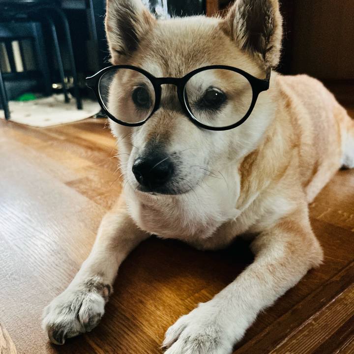 D8ecfe30 1fa1 41a4 a8d2 1c9329c2fe3f 1751787757596