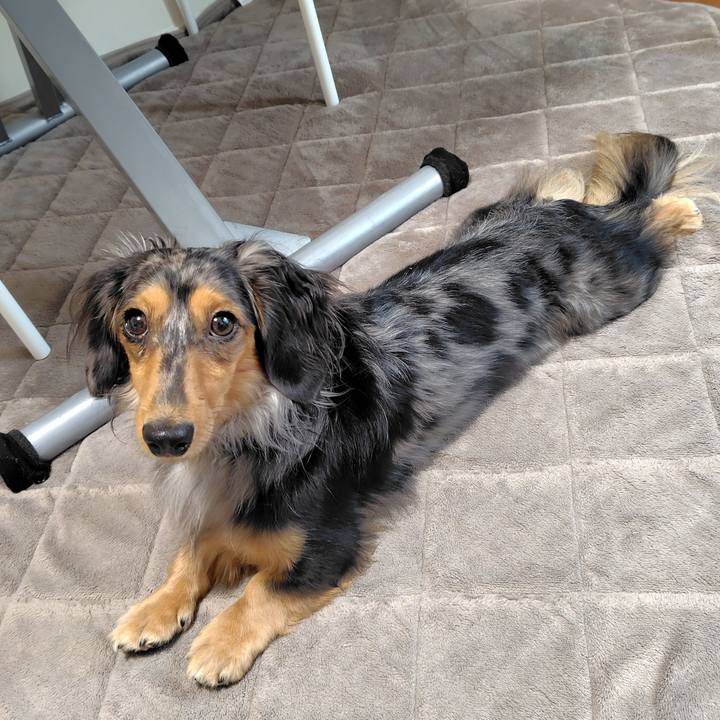 D8ed5d7f 803a 496f bd42 71d95b5d4ad0 1762817297934