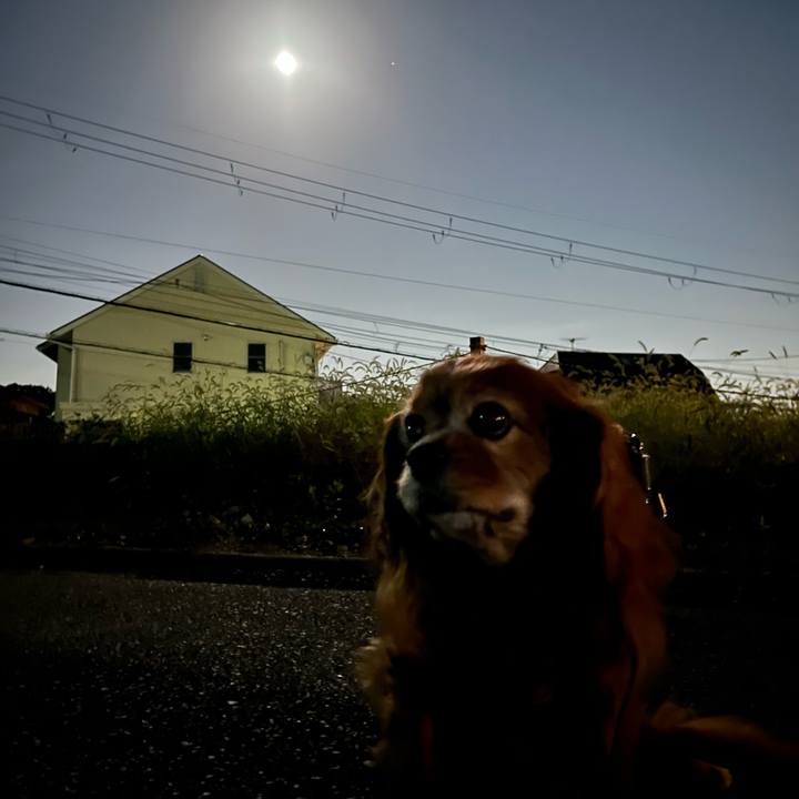 D8edb14d 5e39 4f80 aed9 facab79f17c6 1759747274685