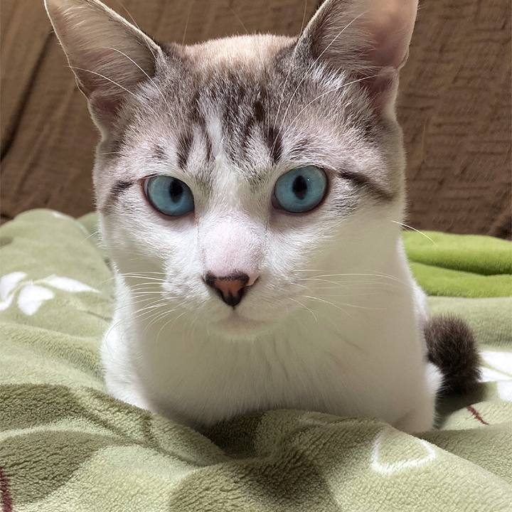 D8edd0cb 191c 4b36 833c 06e64edd6d70 1618619943260