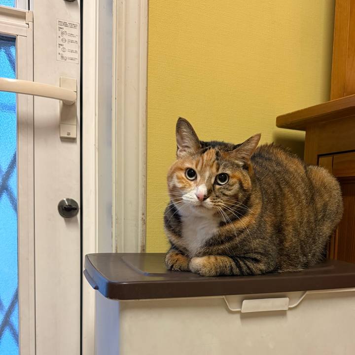 D8ee219b e2bd 4b1e 9010 3ad4d3d1ae2a 1769638726167