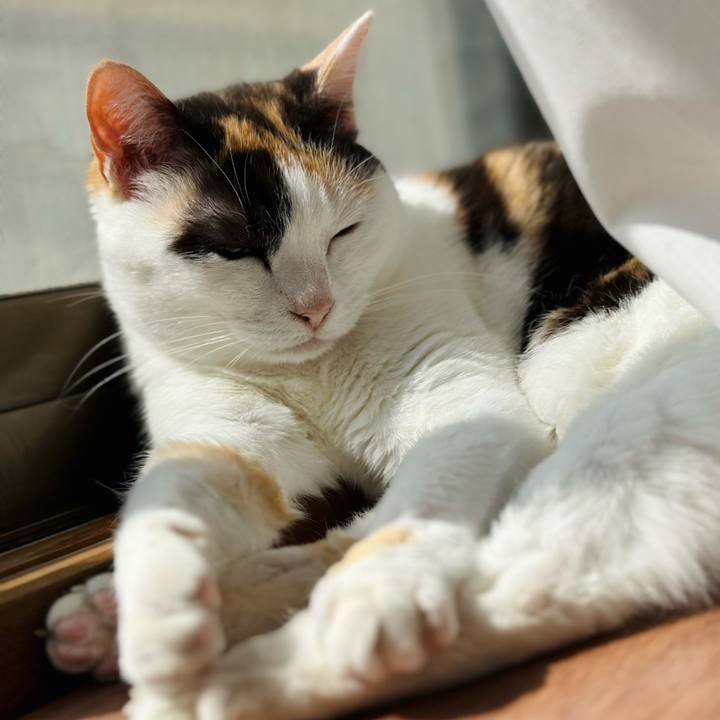 D8ee3037 5d56 402e b4c1 cb74278b4382 1682560172500