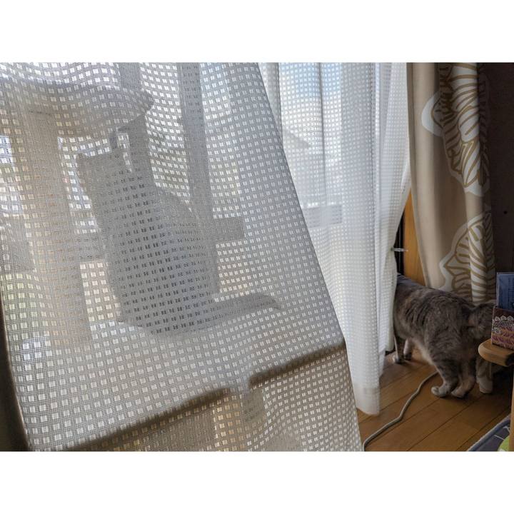 D8ee43d3 aeef 4683 a3b7 33b792c1df73 1717485305767