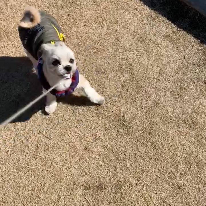 D8ee4c72 a945 4a44 b267 918eee02a716 1550384086945