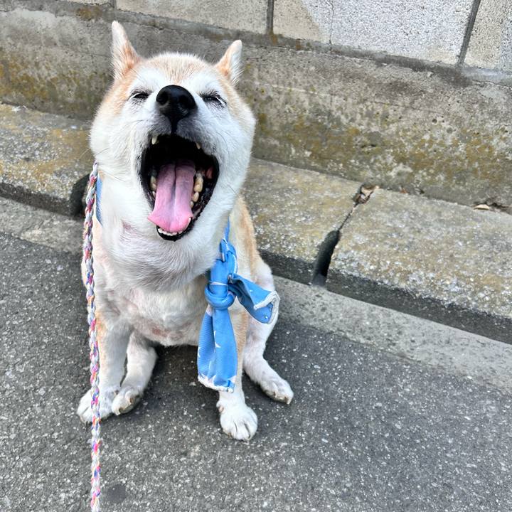 D8ee607b a796 4a60 a872 557ea59554b6 1752102194637