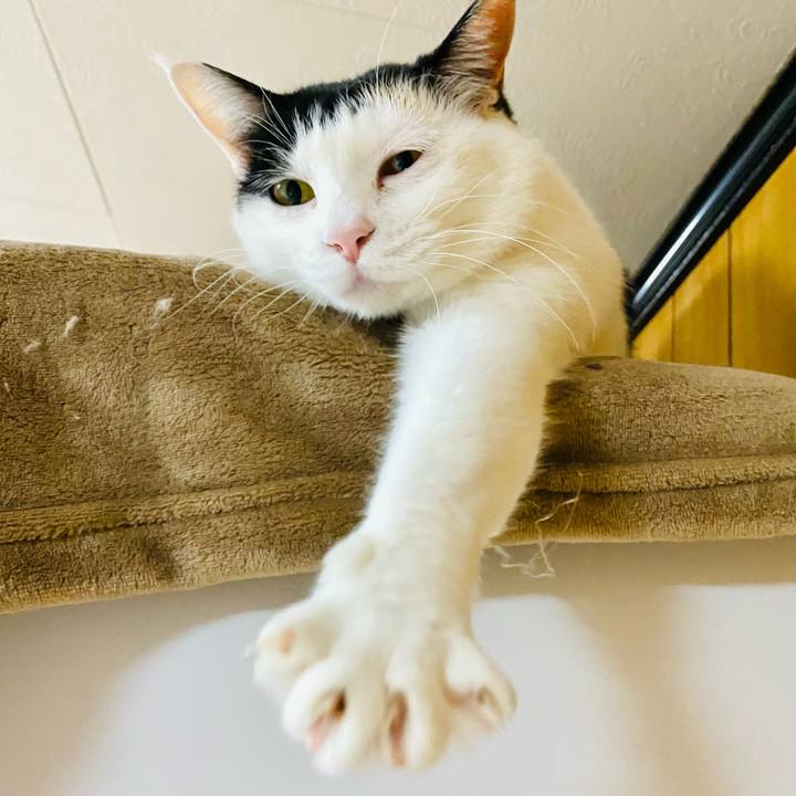 D8ee8a8d df58 40b1 867a 34fe922466a5 1677756004725