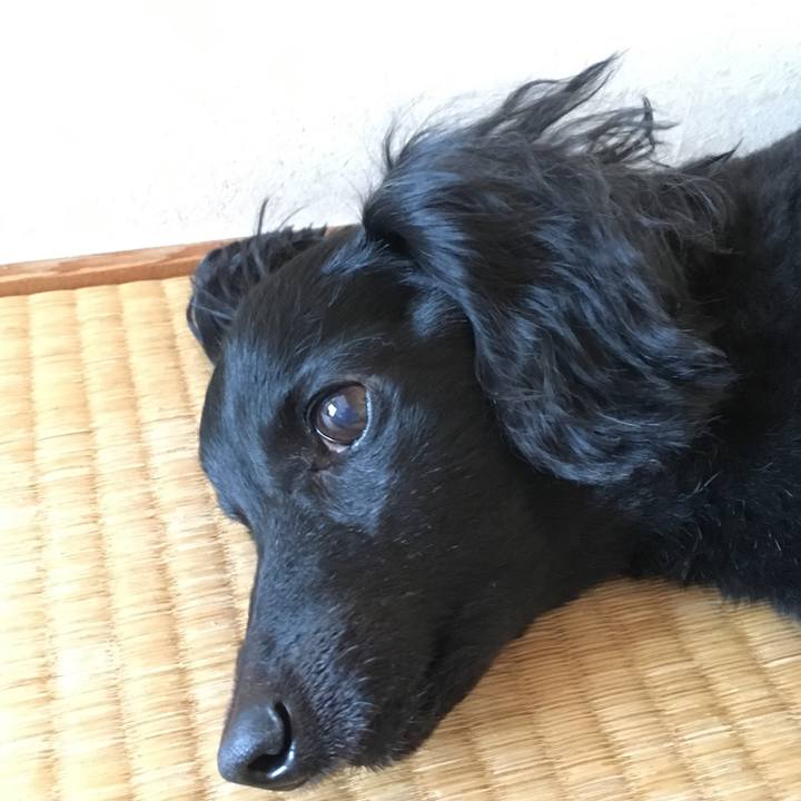 D8ee8b0c 9398 4326 a865 01f64dfdb97d 1508709275522