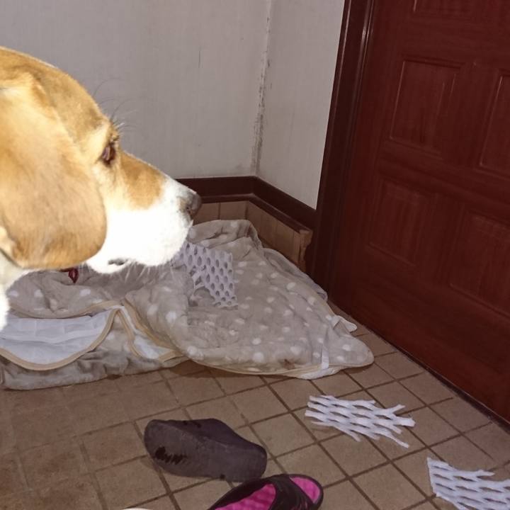 D8eebf6b 01fa 4e91 ab3a b62b3c36fa9d 1574413561647