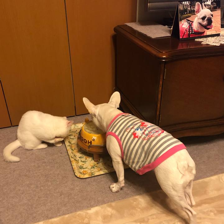 D8eec969 62e3 4308 927c 811b15a5ceec 1549378129185