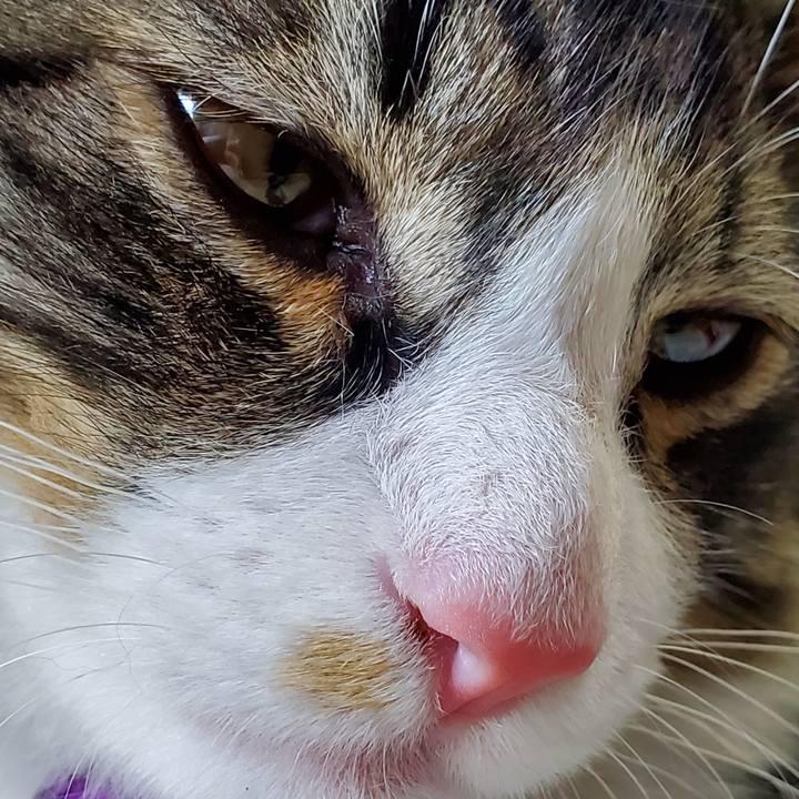 D8eecc70 6e3f 4255 a63f 9cad56a42f3a 1634908495803