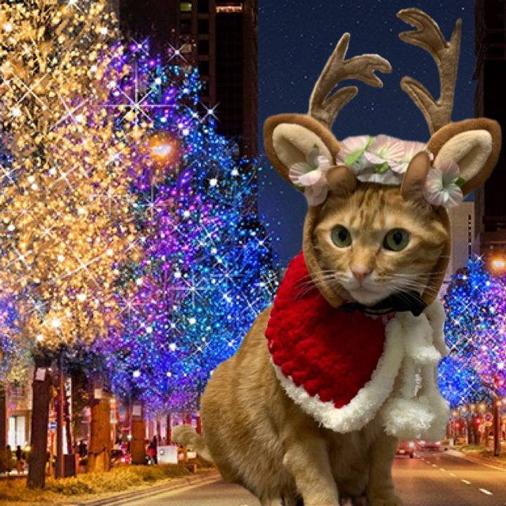 D8ef03da 9a65 4436 90c9 7ddfa85e952f 1607956449120