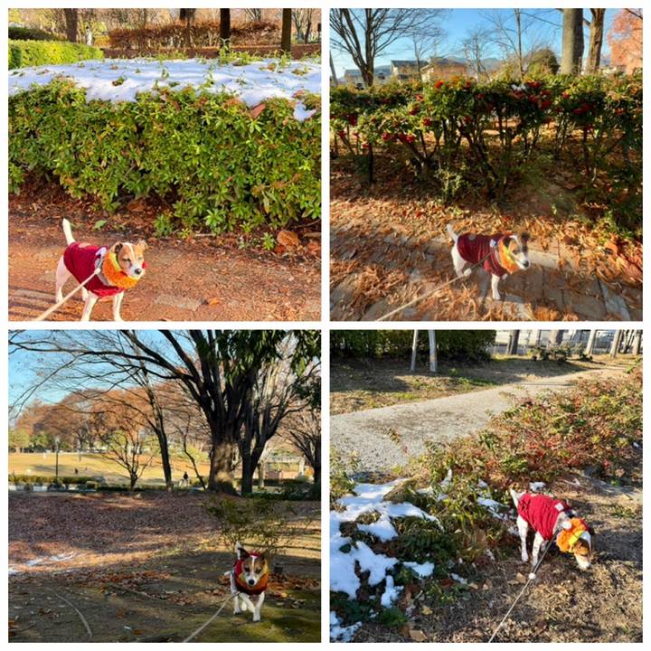 D8ef15df 5a5f 44f7 b124 b92a242f7a90 1765011115155