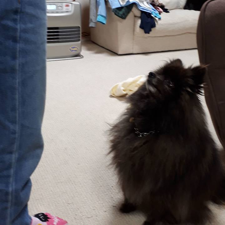 D8efabbb 2da7 4775 a5cc c5911a3e7ecd 1516877546728