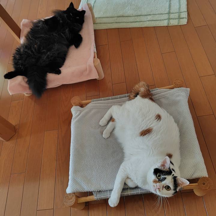 D8efd09a 38ba 485d bac3 a5d14a683ad3 1731709120945