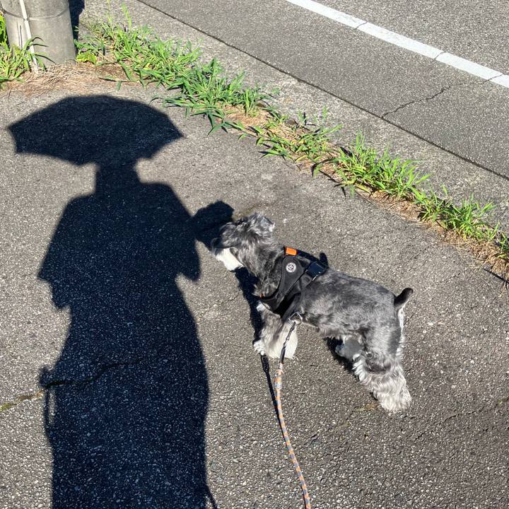 D8efd199 7f00 47c8 be3e 2fe8a82e18ea 1720311187903