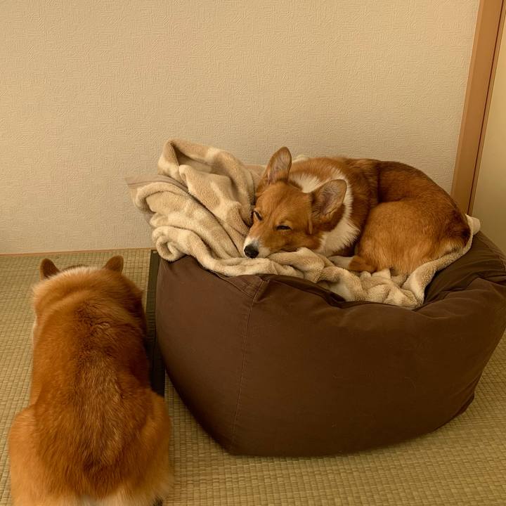 D8efdb11 446c 48b0 b69c 16e407ad8053 1667880641024