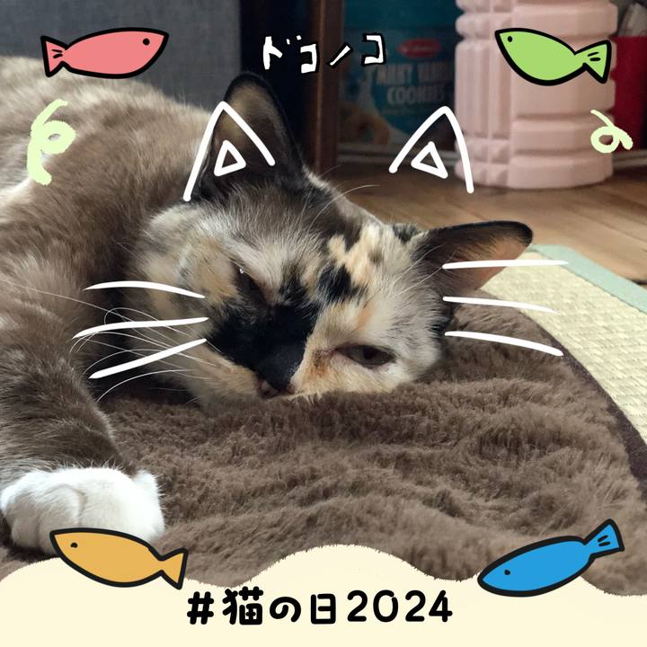 D8efe26d 10a8 4928 b38b 95172a95ffd9 1708586208247