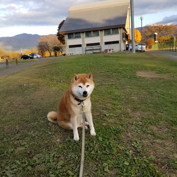 D8efec30 9c65 43ce b46b a2d8eb289df7 1636095590624