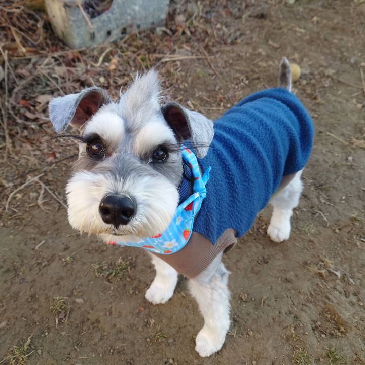 D8f00276 6849 4af3 8a11 2221300f84b3 1771370610480