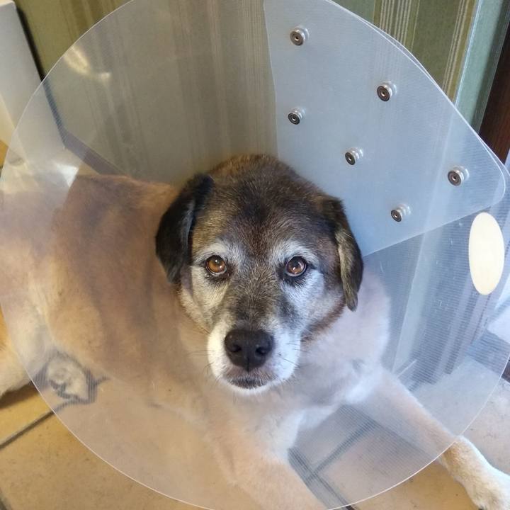 D8f03fdf 893c 4687 9265 2b60c4622a4c 1563495388558