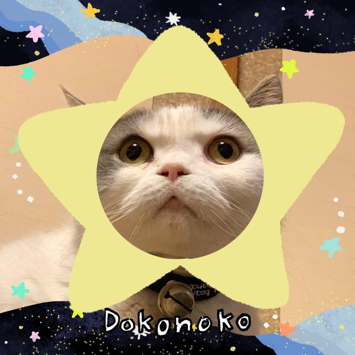 D8f06ad5 8f0f 49bd 8a89 5175546a78cd 1721052517823