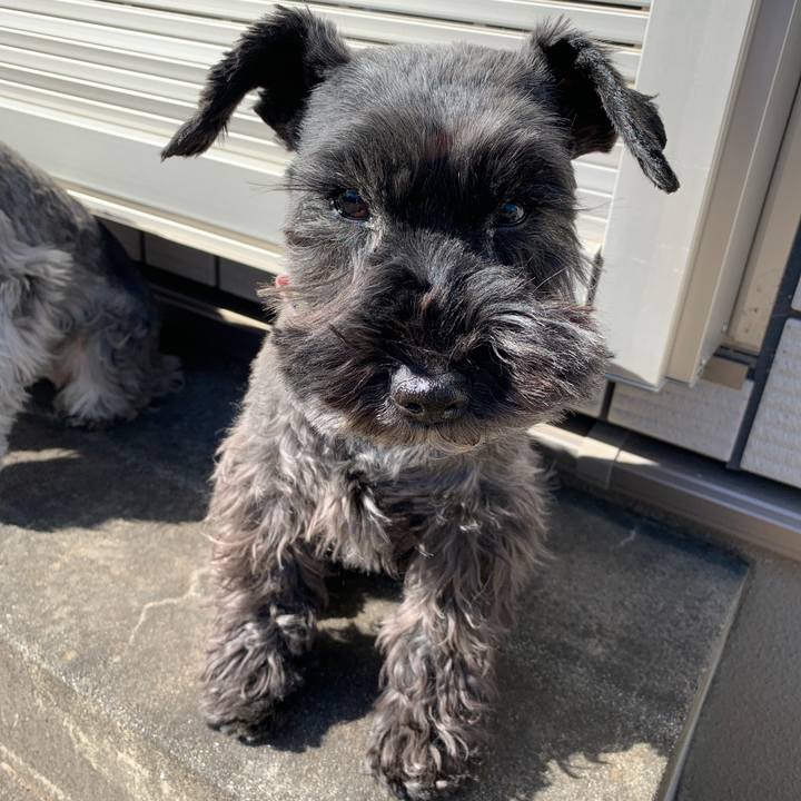 D8f081c8 9815 4406 b579 f9038dc27fa9 1612847639134