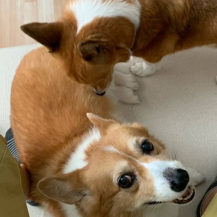 D8f08501 cac1 48d7 baee 34c3256ce7af 1725075035365