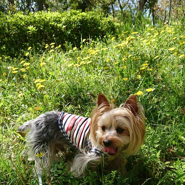 D8f09269 c9ce 487f ae50 3f20fcd96e8f 1555740629434