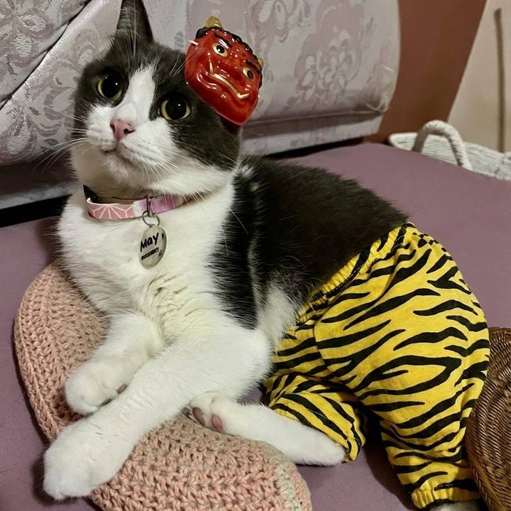 D8f0967c 07db 4189 9d66 e0be28aaa78f 1770069844573