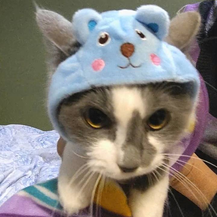 D8f09895 e749 4eeb a288 7d8fb50009de 1576401971586