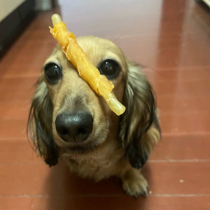 D8f0accb 065a 40ea 8227 db953274f85e 1726062027341