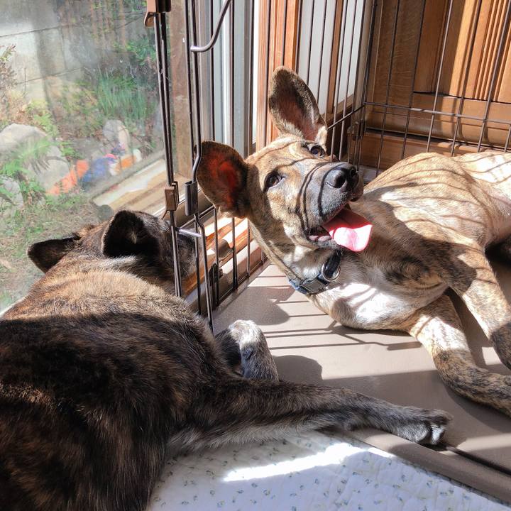 D8f0b87f 0530 409f b51d 24ee834515e0 1573012378092