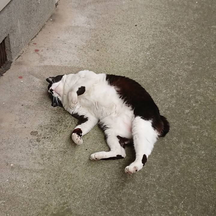 D8f0e846 c862 428e a973 415bfe1be09f 1589070423060