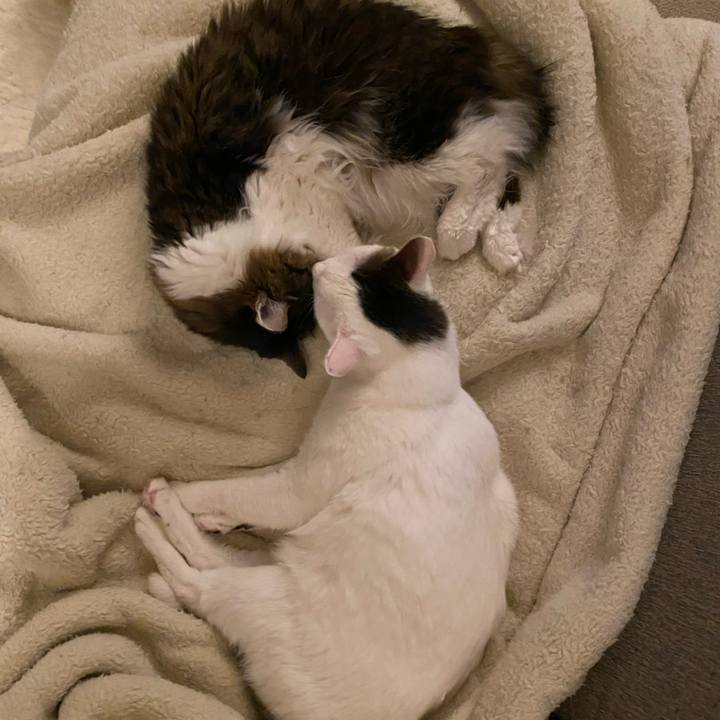 D8f0ee99 551c 48e0 a86b 23acfd55d0ee 1672098062999