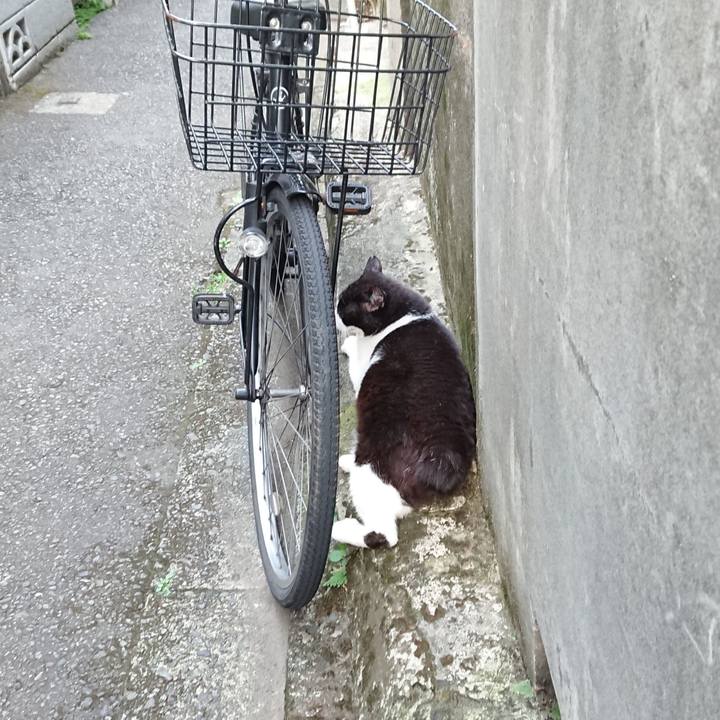 D8f12a5f d787 4ad2 b2a3 c9013f7b9036 1658305493765