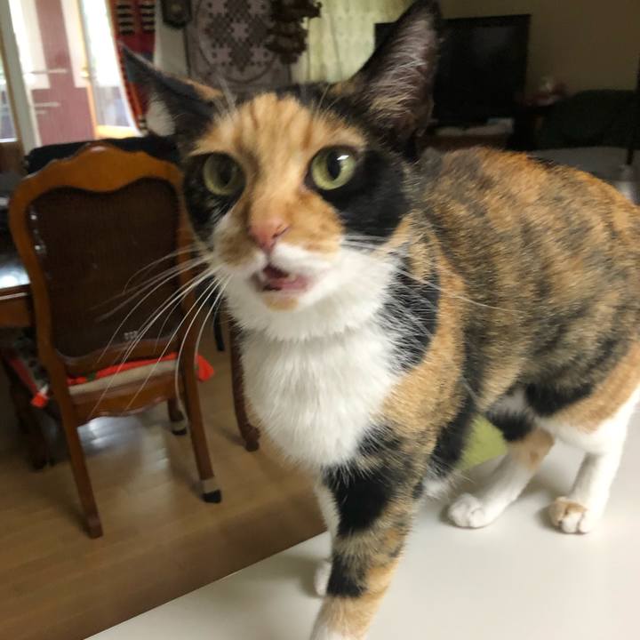 D8f13715 f422 4e6a bb04 930a48aaf226 1562625281617