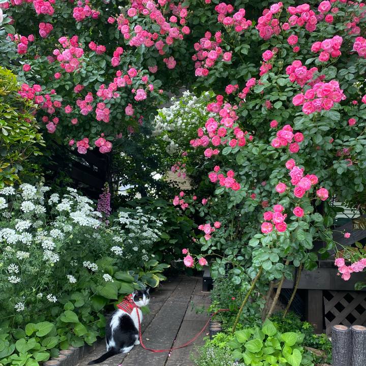 D8f13aaf ac95 4242 961a 4ae426247a56 1622351201839