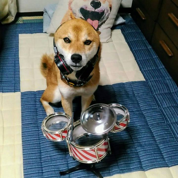 D8f13b26 f007 46f9 b6fe 29b6432c21d0 1565776233850