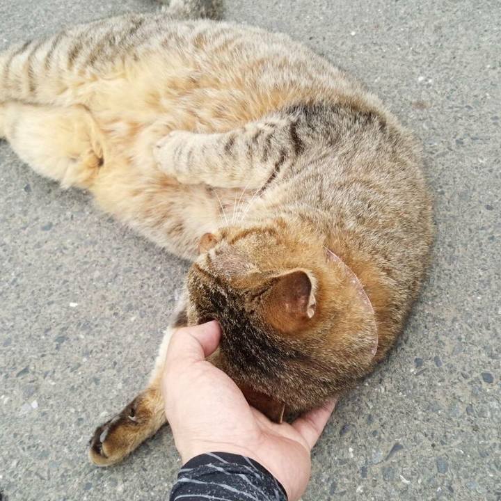 D8f16c4f f638 47fe b5fb 403b752e0368 1526736121247