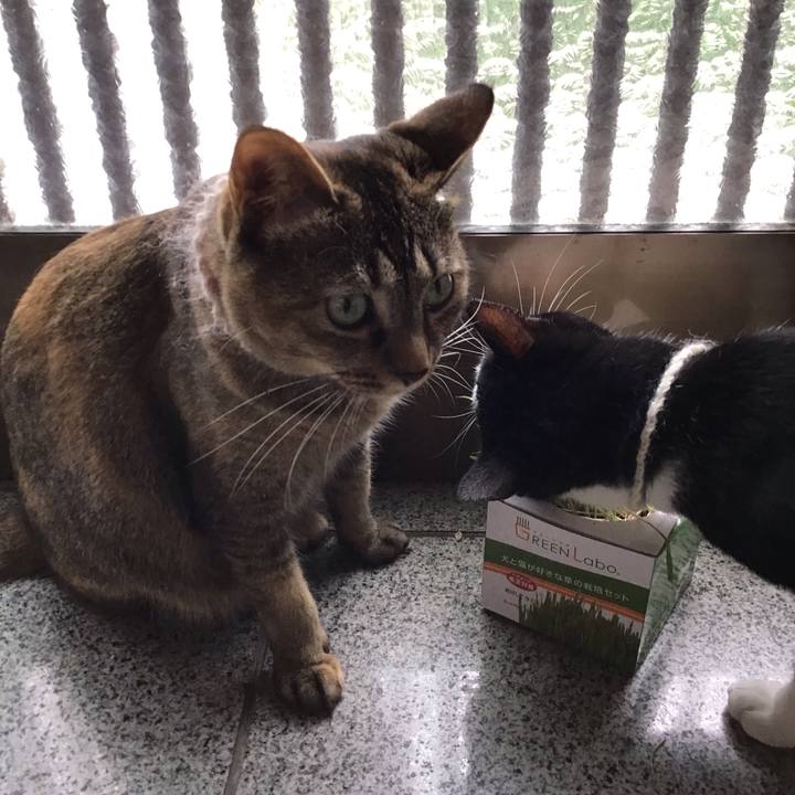 D8f187d8 8388 4be3 8fd9 3cc0bd86a06c 1654056683504